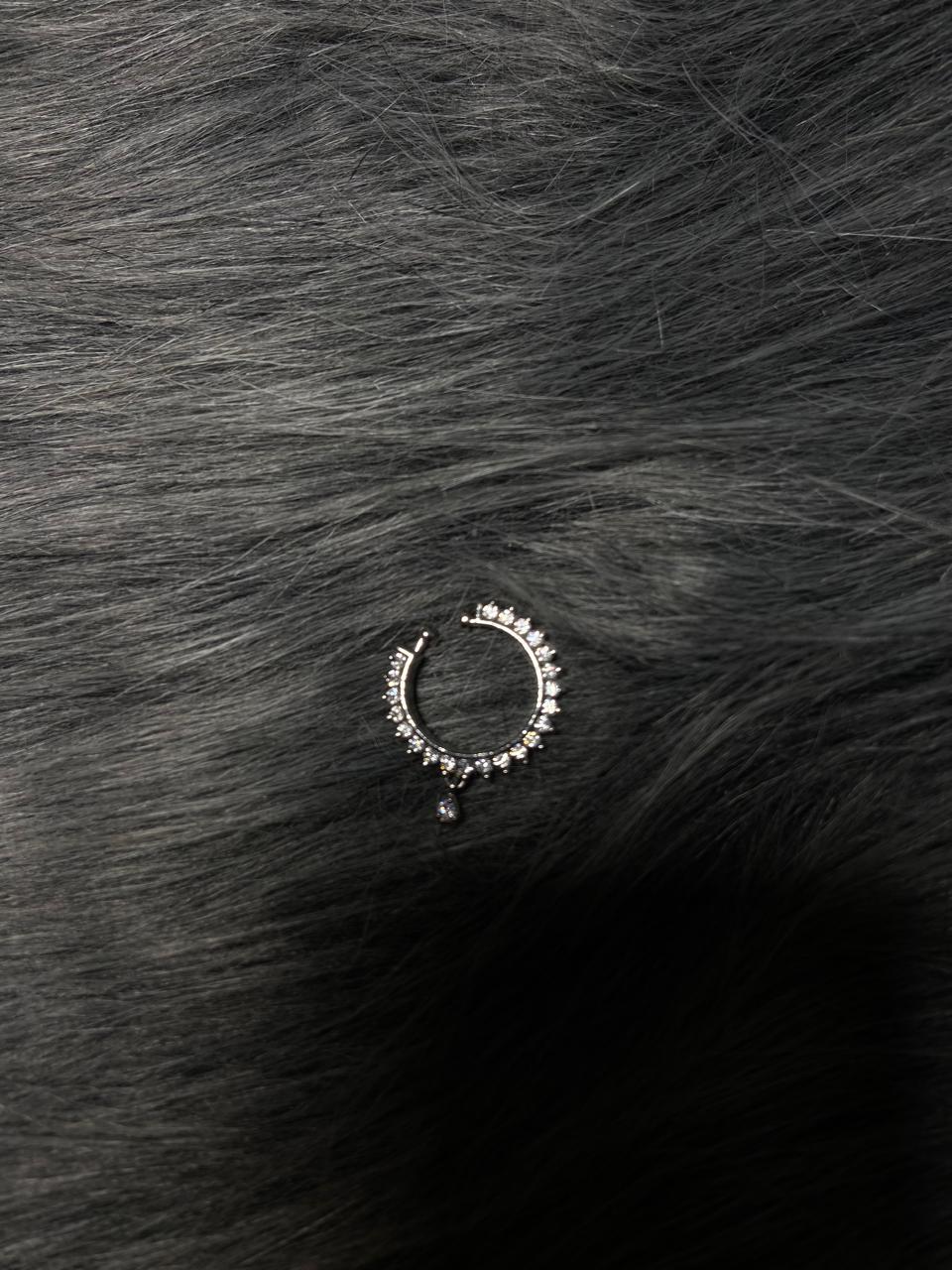 AD Silver Nosepin