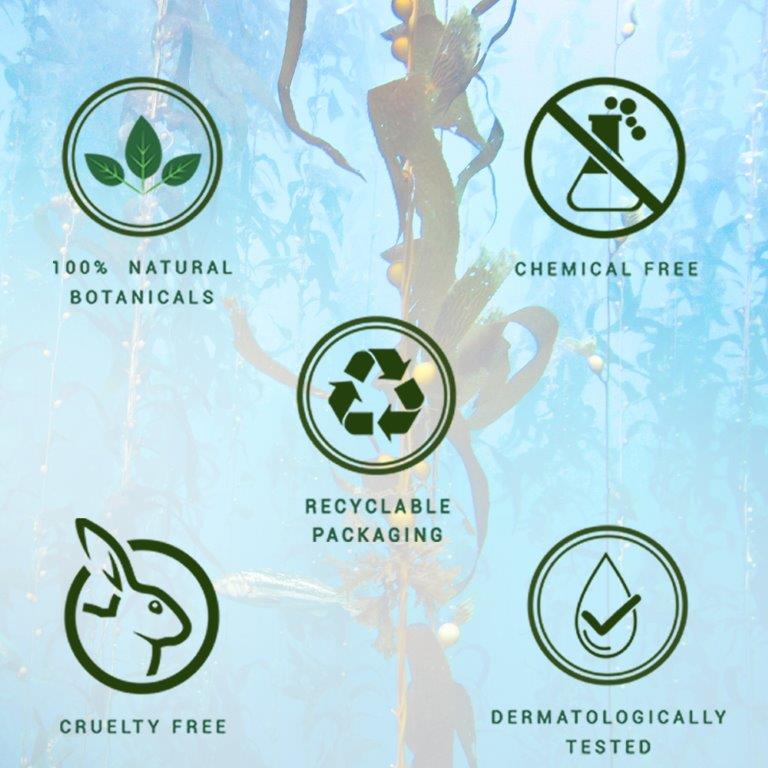 Biotique Ocean Kelp Anti Hair Fall Shampoo 340ml