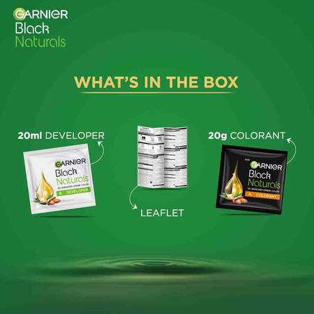 Garnier Naturals Shade 2 Original Black