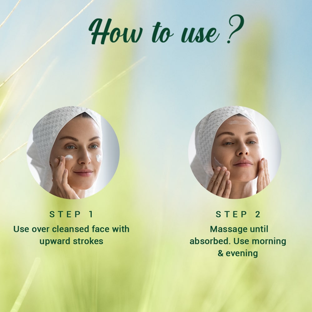 Biotique Wheatgerm Anti-Ageing Night Cream 50g