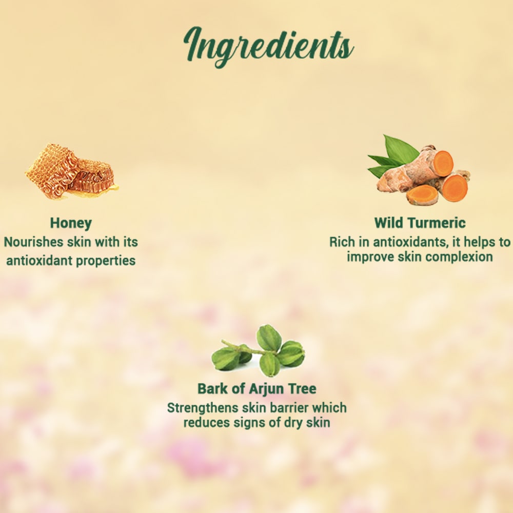 Biotique Honey Gel Soothe & Nourish Foaming Face Wash 150ml