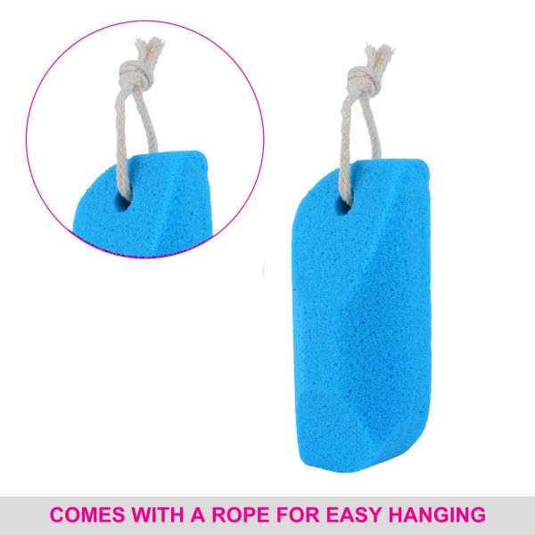 Vega Pumice Sponge - PD-17