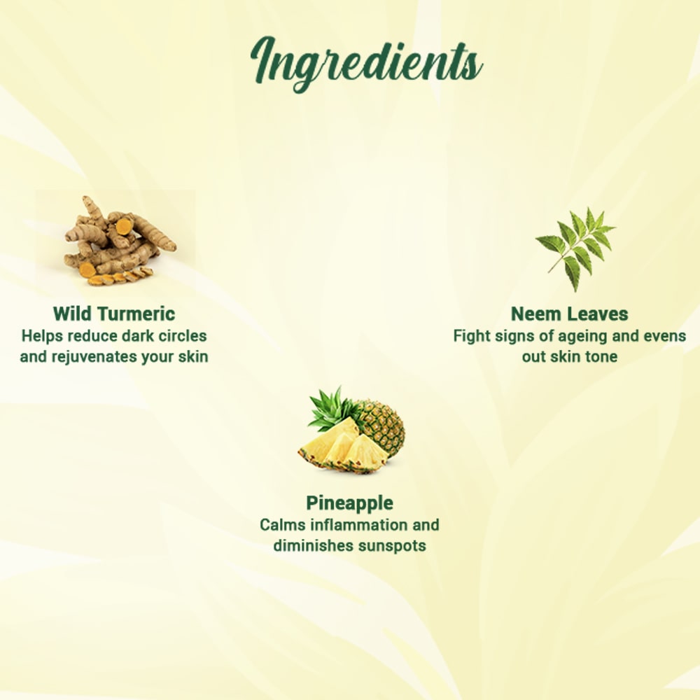 Biotique Pineapple Oil Control Foaming Face Wash 100ml