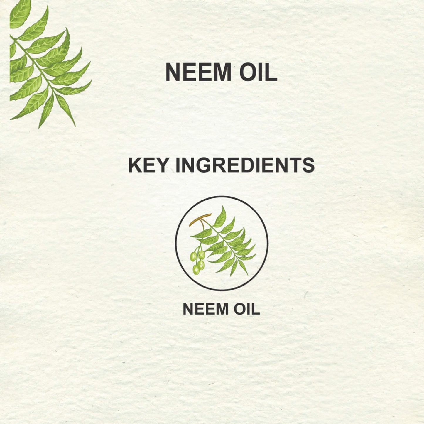 Love Earth Organic Neem Oil - 100ml