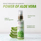 Lotus Herbals Active Aloe + Niacinamide Brightening Boost Mist