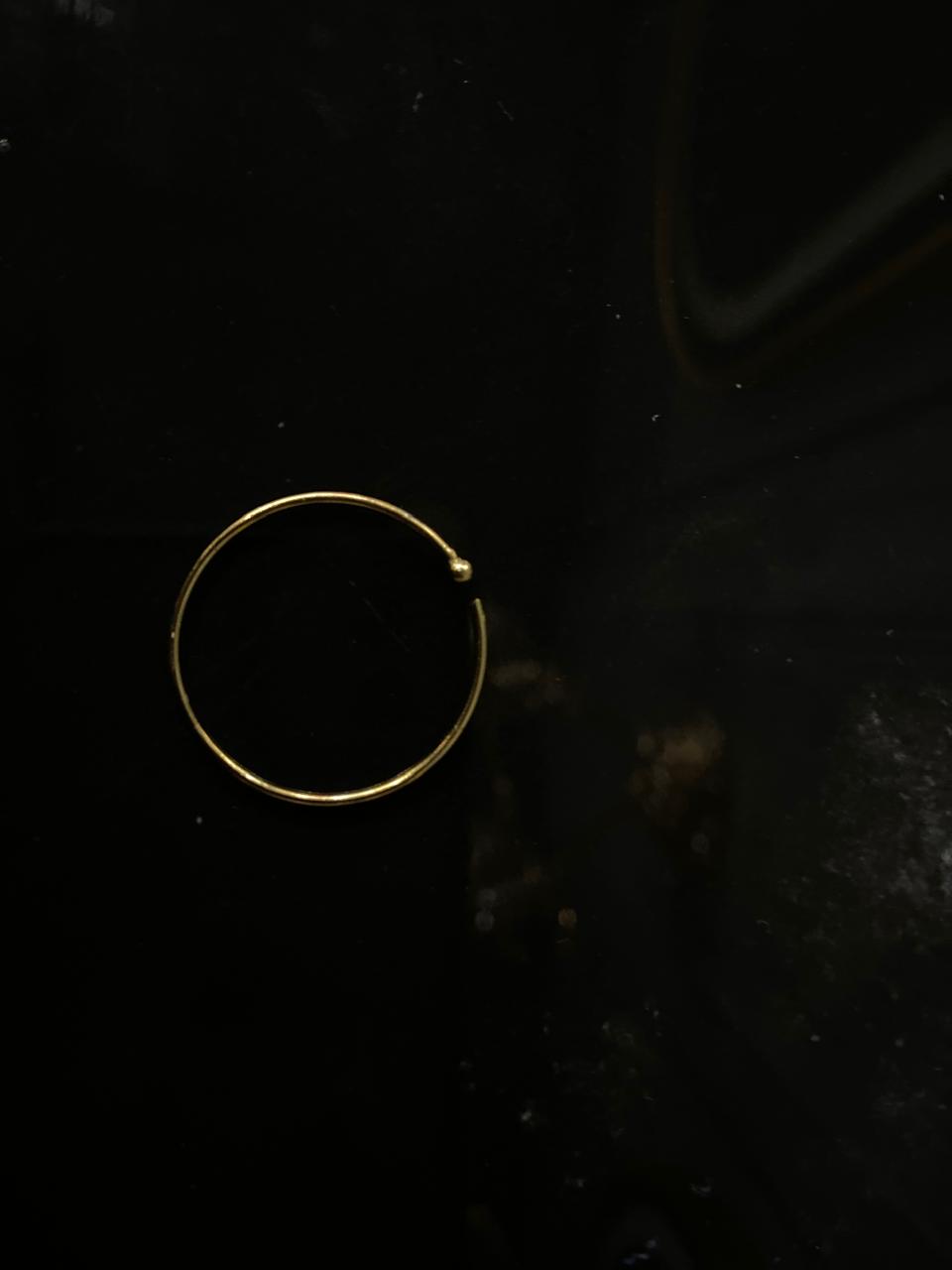 Golden Nath 02