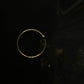 Golden Nath 02
