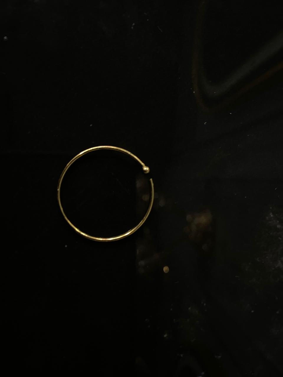 Golden Nath 02