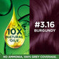 Garnier Color Naturals Shade 3.16 Burgundy