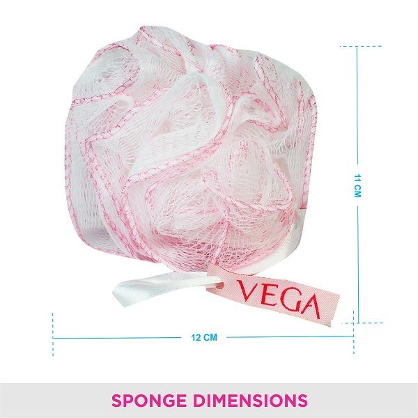 Vega Everyday Sponge - BA-3/8