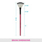 Vega Fan Brush - MBP-13