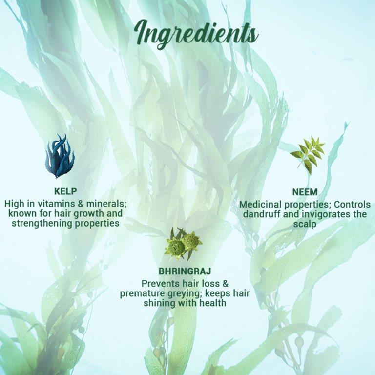 Biotique Ocean Kelp Anti Hair Fall Shampoo 120ml